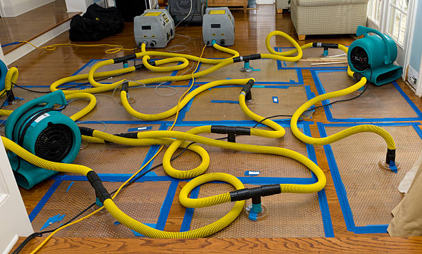Professional Water Extraction technician working in Polo, MO